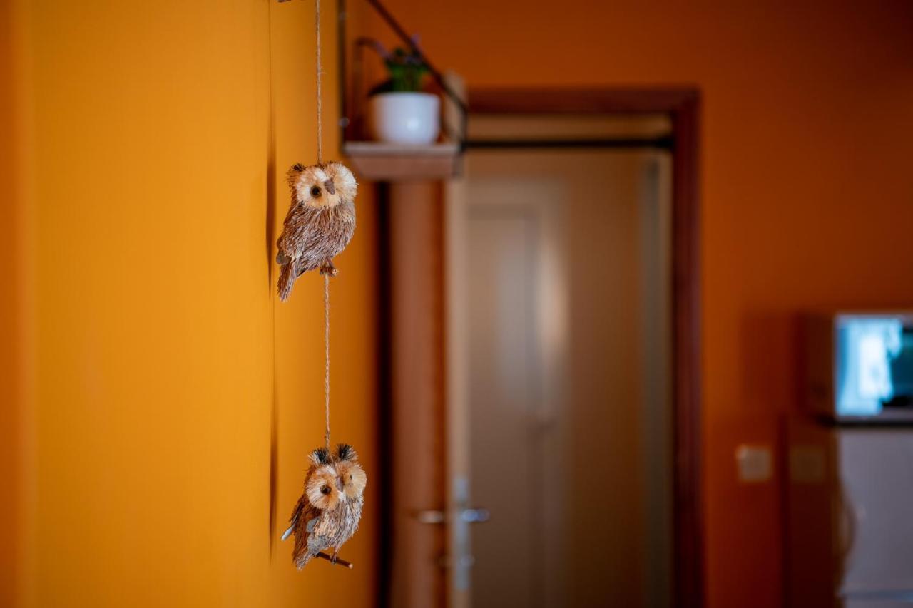 Apartment Orange 29 Rovinj Kültér fotó